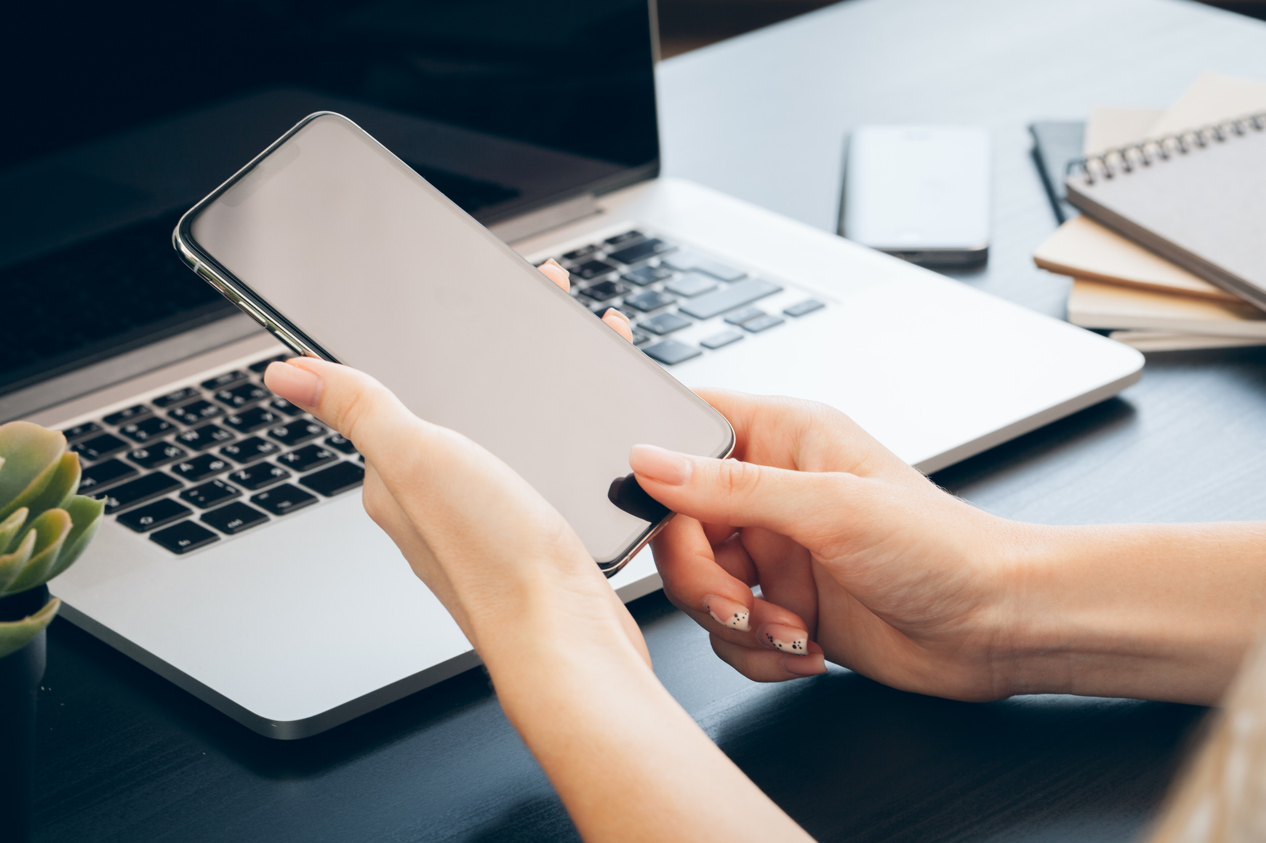 Contested Wills and Estate Litigation