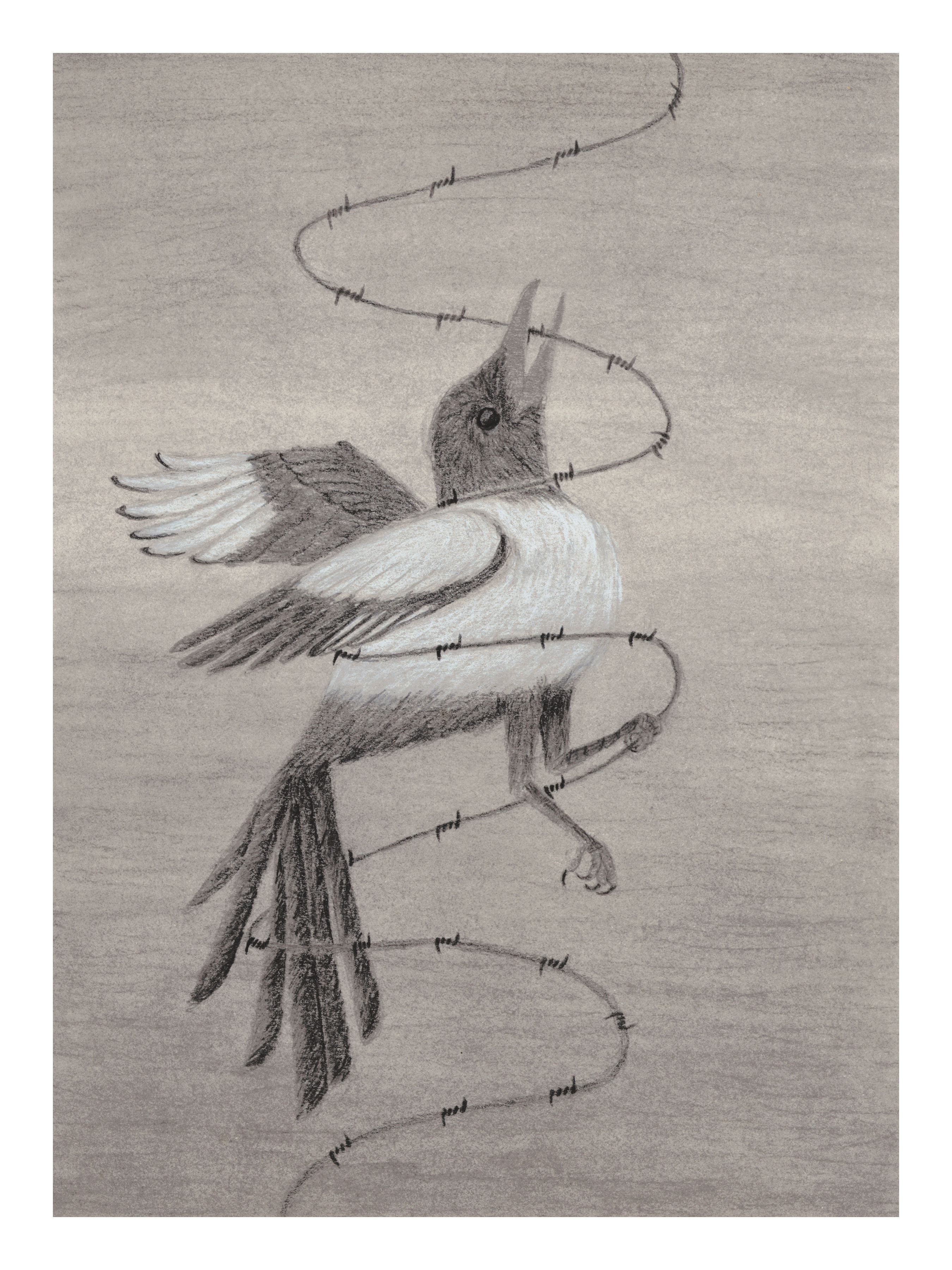 "Vivus" Fine Art Print