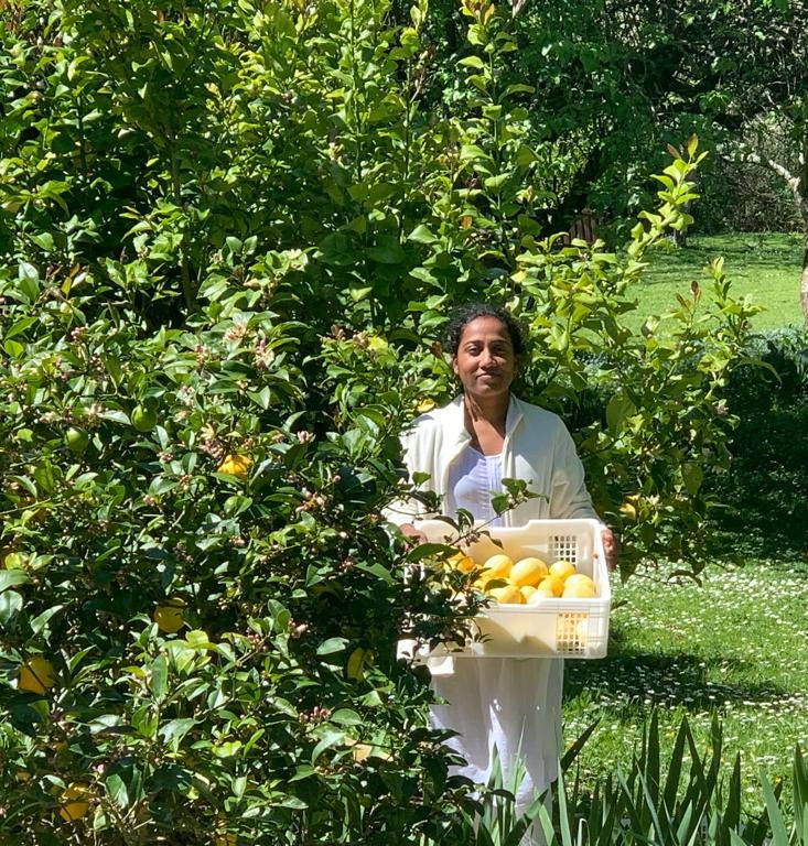 Meditation for Paradise