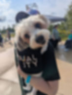 PXL_20260606_140052672