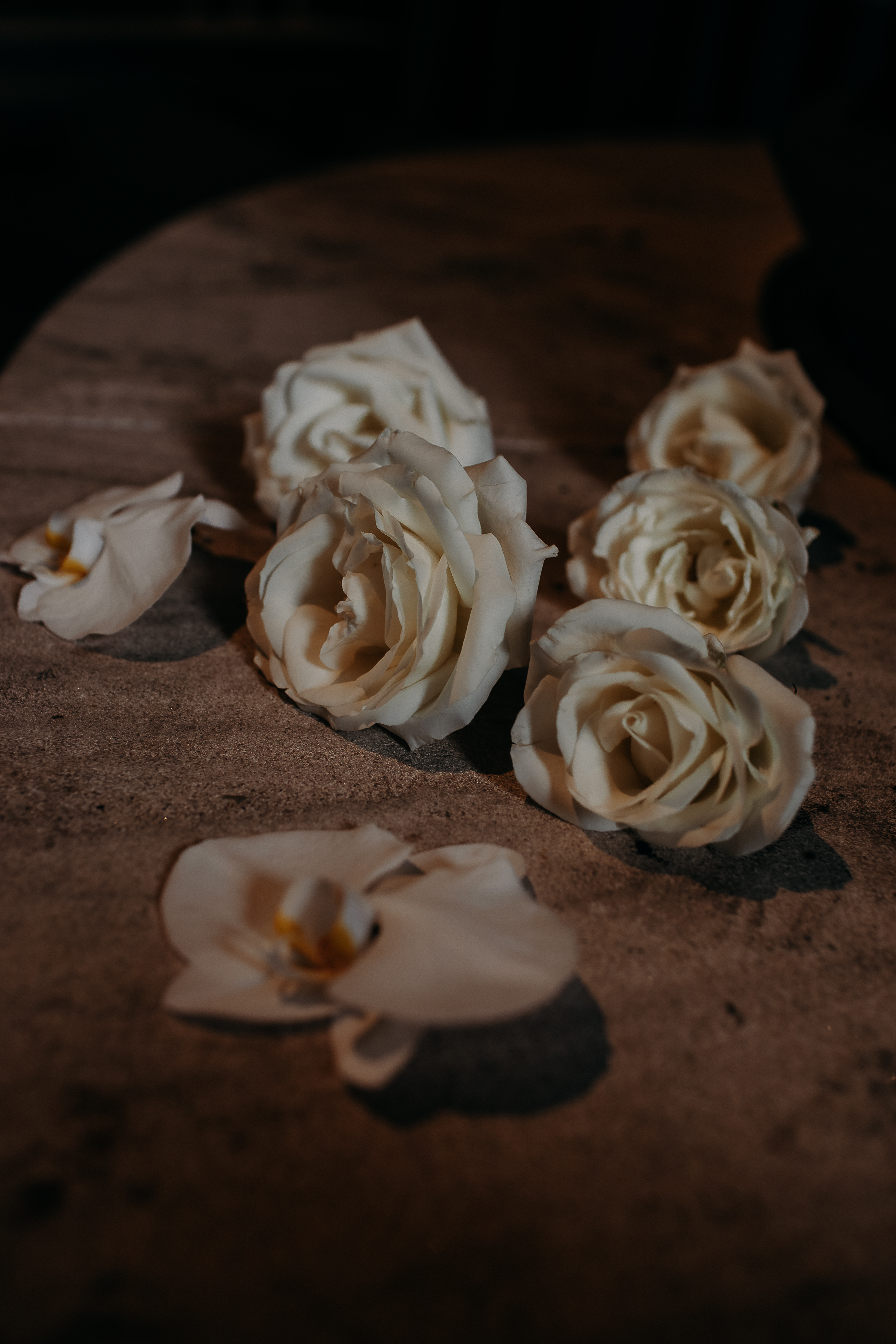 Stacie Pearce Photography — photo 2 of 18
