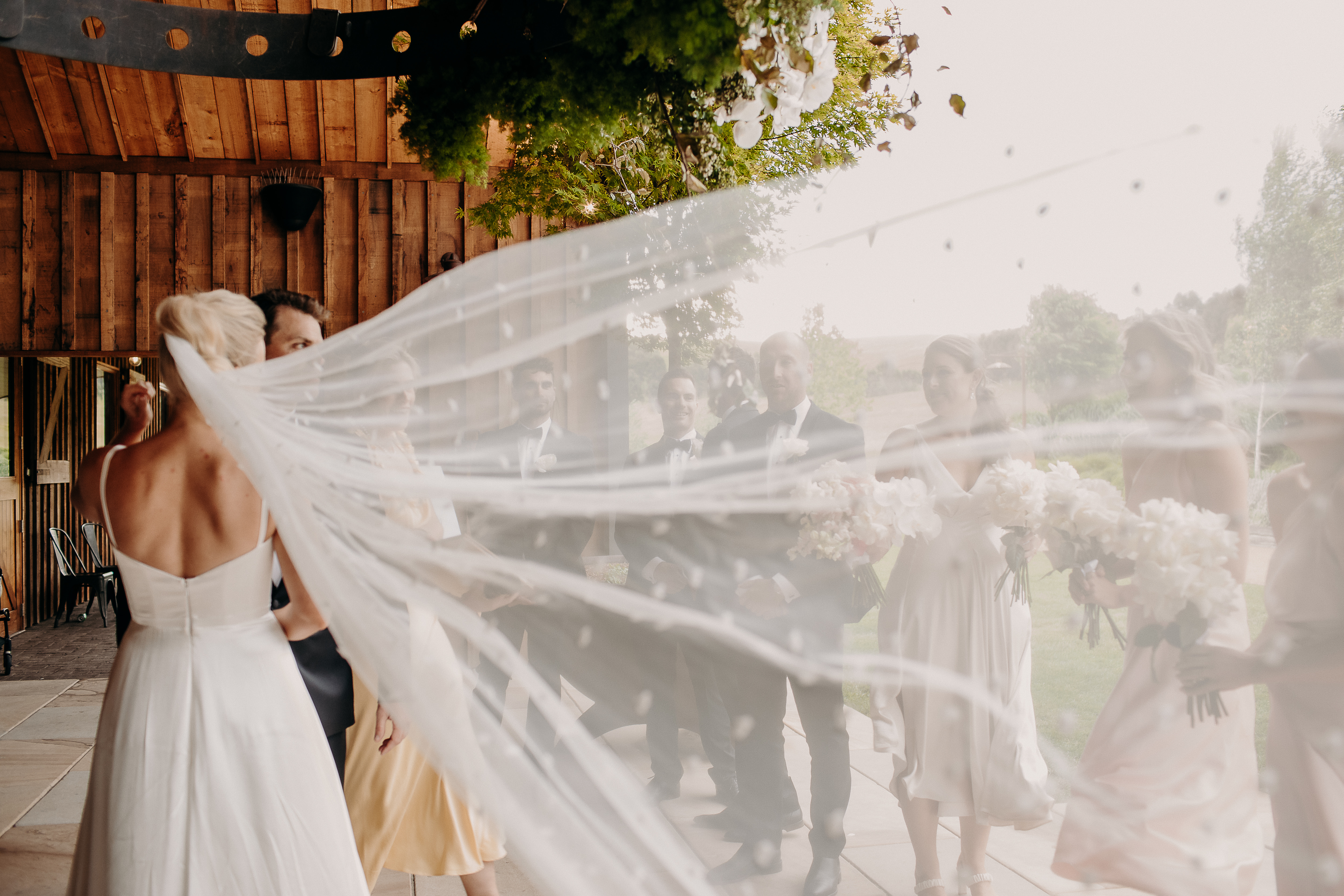 Stacie Pearce Photography — photo 11 of 18