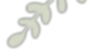 Background Vactor
