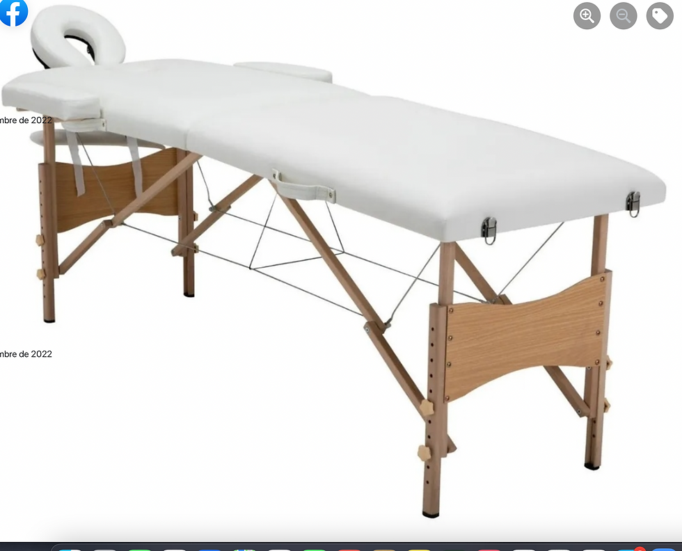 Miniatura: CAMA DE MASAJE PROFESIONAL, PORTATIL