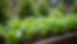 -post-ai-image-22751.png