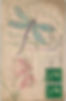 Dragonfly on letter
