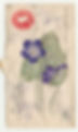 Blue Violet on letter
