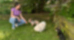 LuxForDogs, Hundebetreuung, Kilchberg