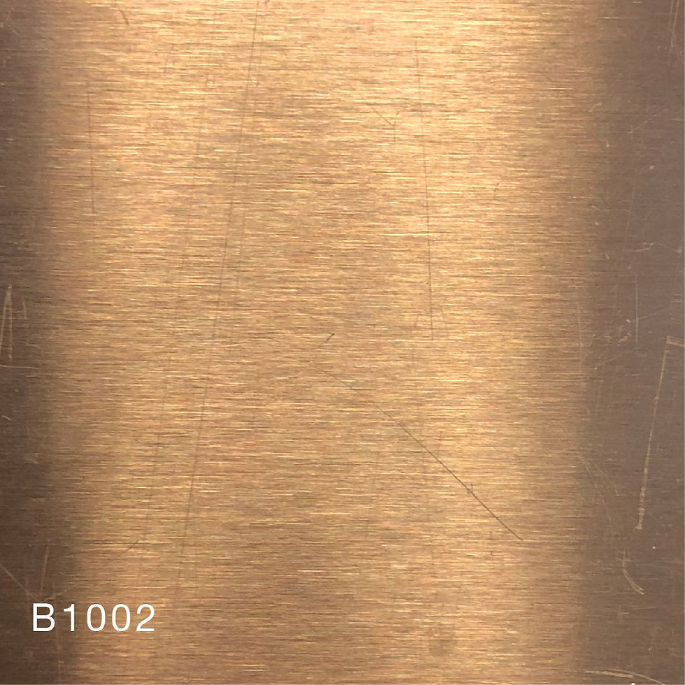 B1002