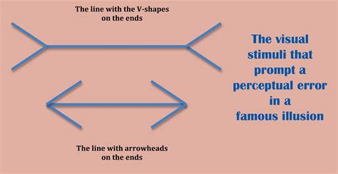Muller-Lyer illusion