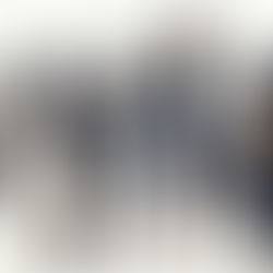 Guerilla Girls Talk Back