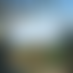 An Insight into Young Love and Women’s Position in Society: Olivia Tutweiler Hill’s Diary 