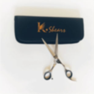 Professional 6-Inch Beauty Shear – Premium Japanese Steel