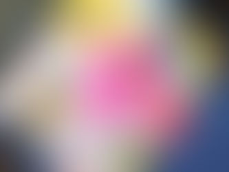 Books, Books, and More Books
