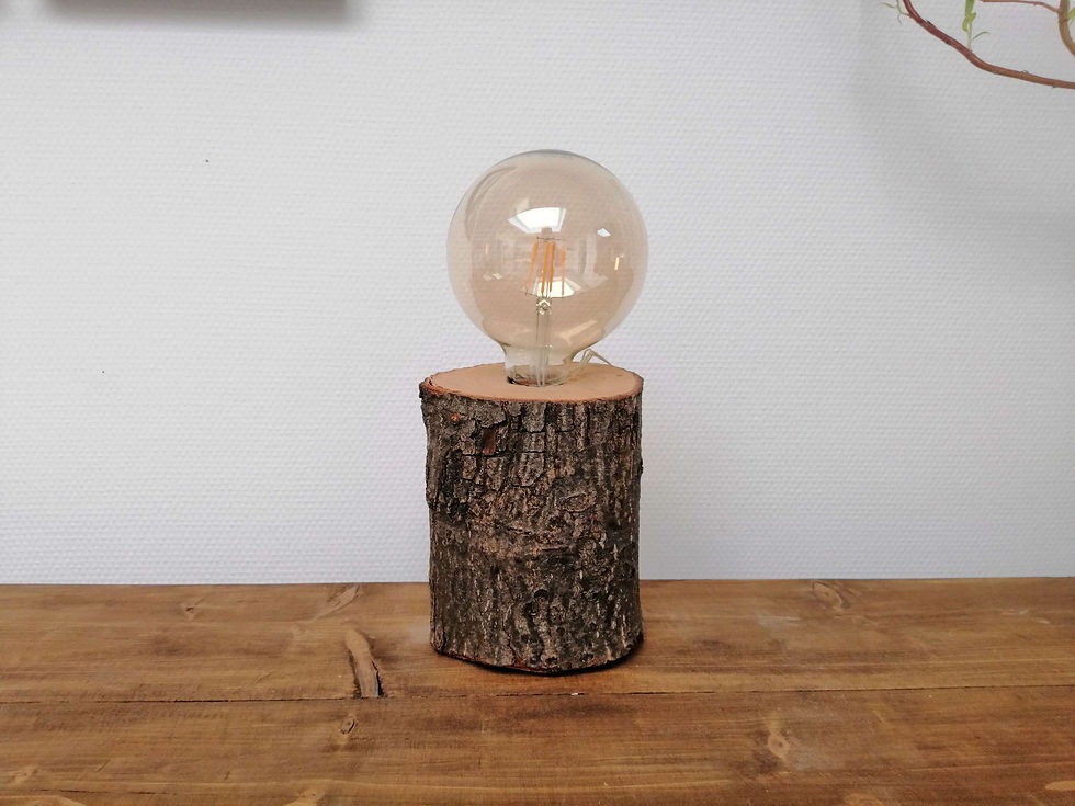 Thumbnail: Nature's light - essentials