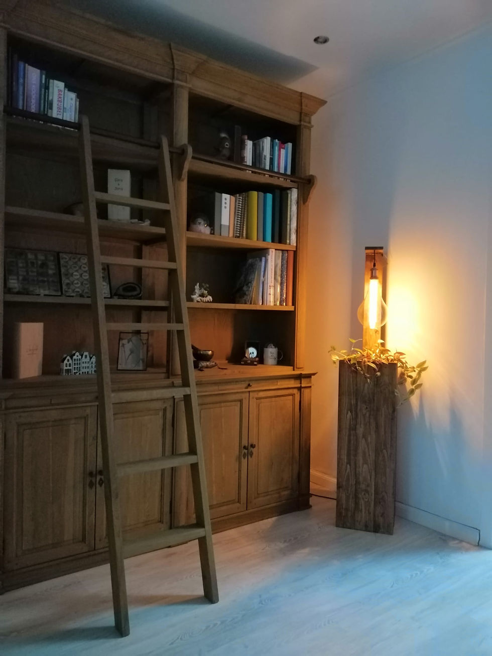 Thumbnail: LIGHT a PLANT