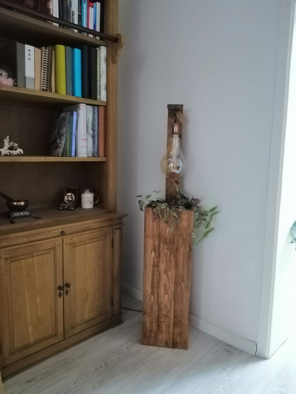 Thumbnail: LIGHT a PLANT