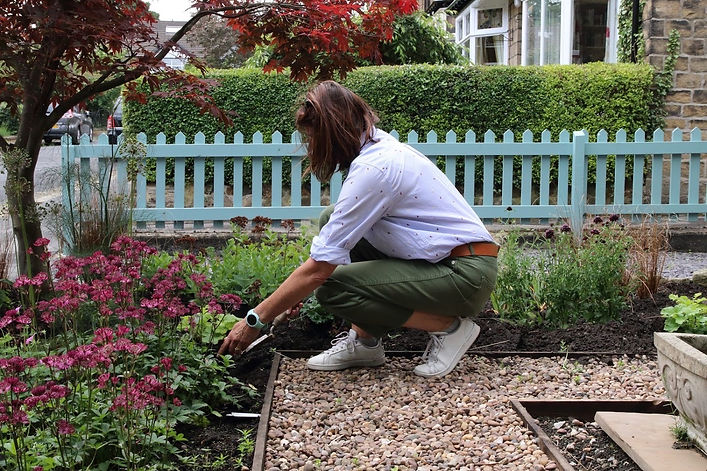 Garden Mentoring.jpeg