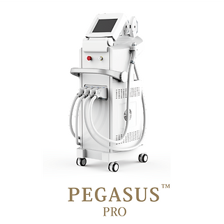 pegasuspro000.png