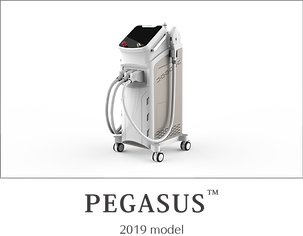 pegasus2019.2.png