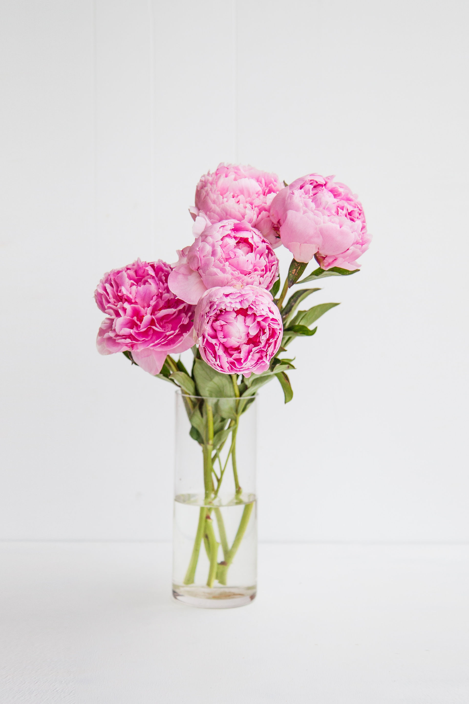 pink peonies