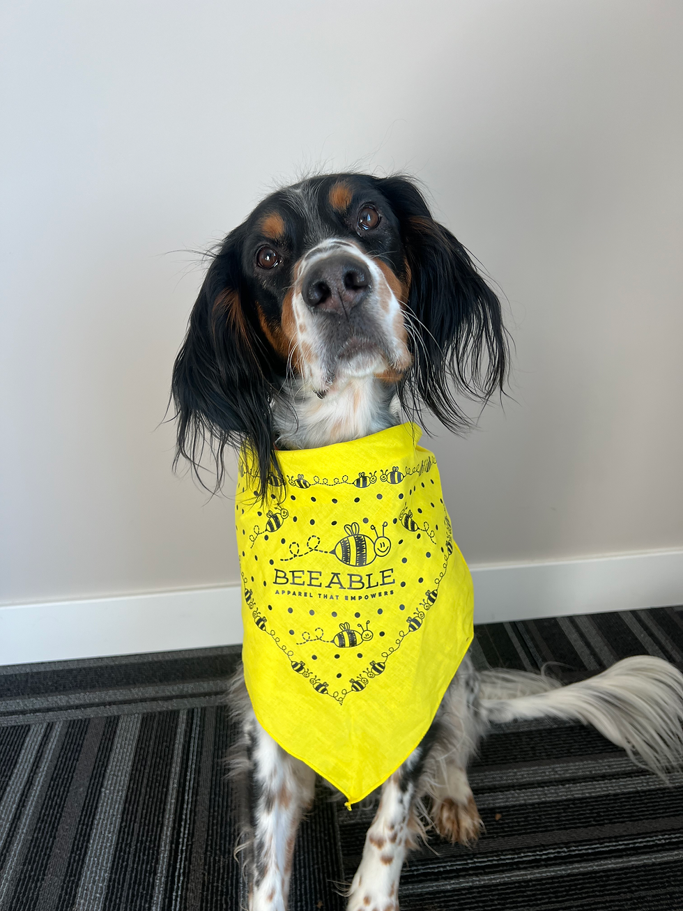 Thumbnail: Pet Bandana