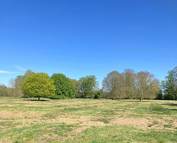 Moulton Park 2.jpg