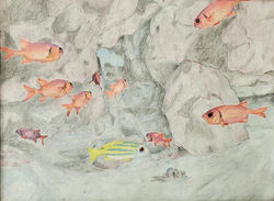 1st Place - Jaylee U. - Life Under the Sea - 7th Grade - Themed, Middle School 2D