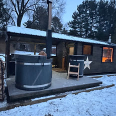 sauna with cold plunge and shower combo