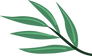 Green Leaf Illustration_edited_edited.pn