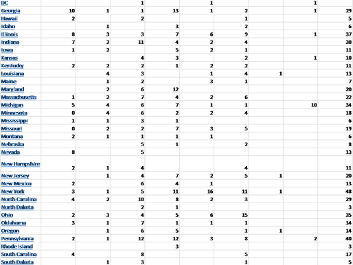 First Female Libertarian Nominee to Face Trump and Biden after Winning 1st Zoom Convention