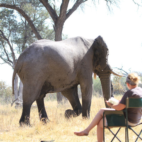 55 day Self Drive Adventure…last minute opportunity…..space has become available.