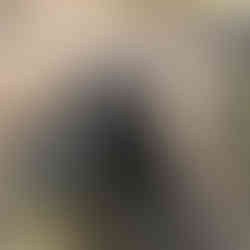 showing how to track elephants with GPS