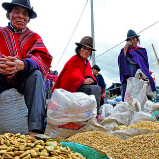 Guamote Market stall