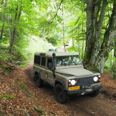 Exploring our first off-road tracks of the adventure   