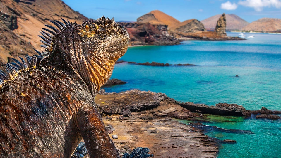 Galapagos Islands