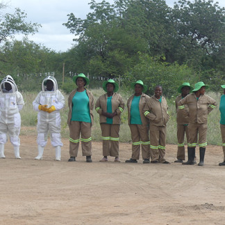 women that tend the african garden