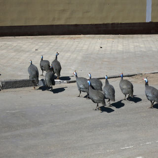 Self Drive Adventures - Swakopmund