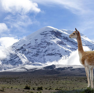 Chimborazo Volcano, Ecuador's highest peak