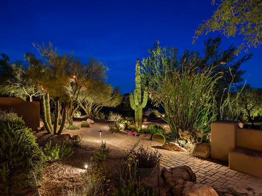 summer landscape lighting trends