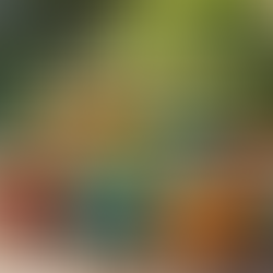 Potted plants for desert climate landscaping