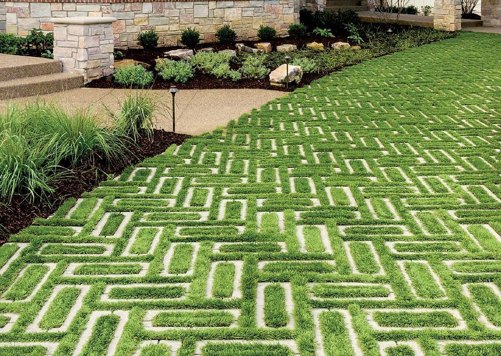 Innovative grass landscaping pavers create a visually appealing and eco-friendly pathway, seamlessly blending greenery with geometric design.