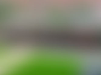 Fall Landscaping Projects