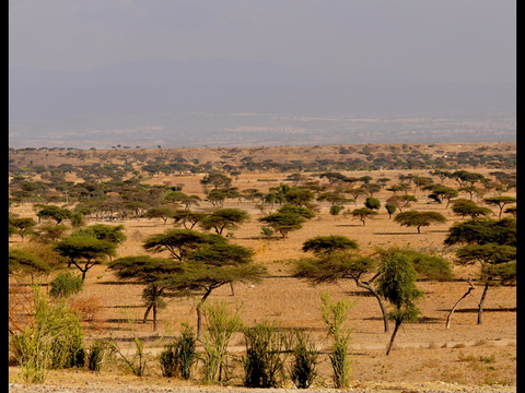 Ethiopia mission trip 2014 page 04