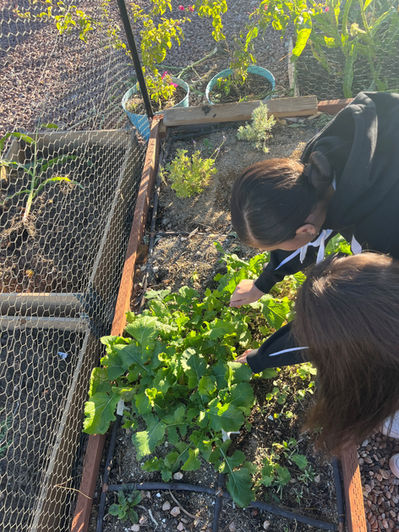 Students at ICA Middle school clean out flower and plant beds before the next planting