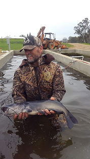 channel catfish, T-Mo Fishery, pond and lake stocking, large mouth bass, bluegill, channel catfish, mosquitofish, fish farm, fingerling fish, live fish delivery, live fish pick up