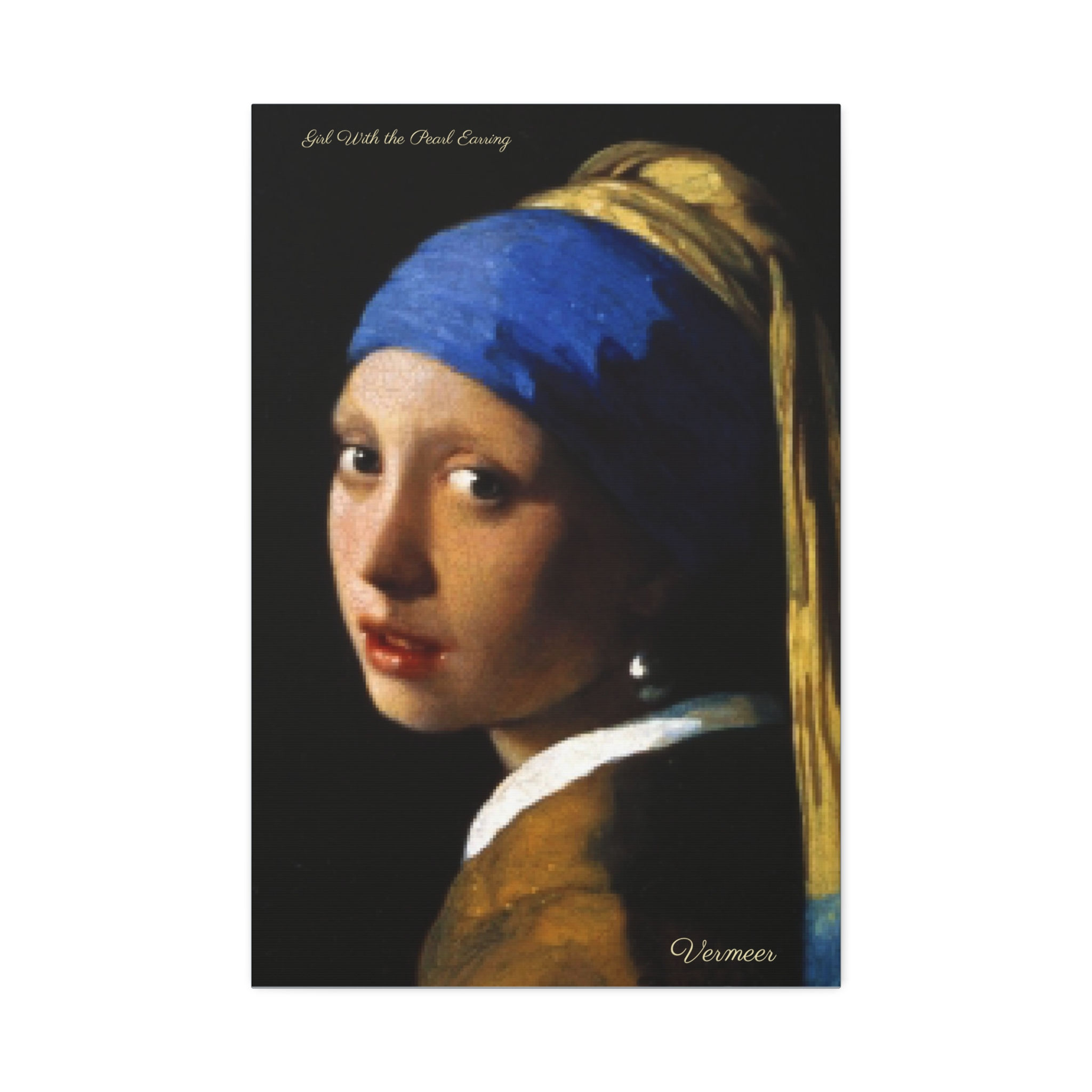 Canvas Print - Girl With the Pearl Earring - Artist - Vermeer