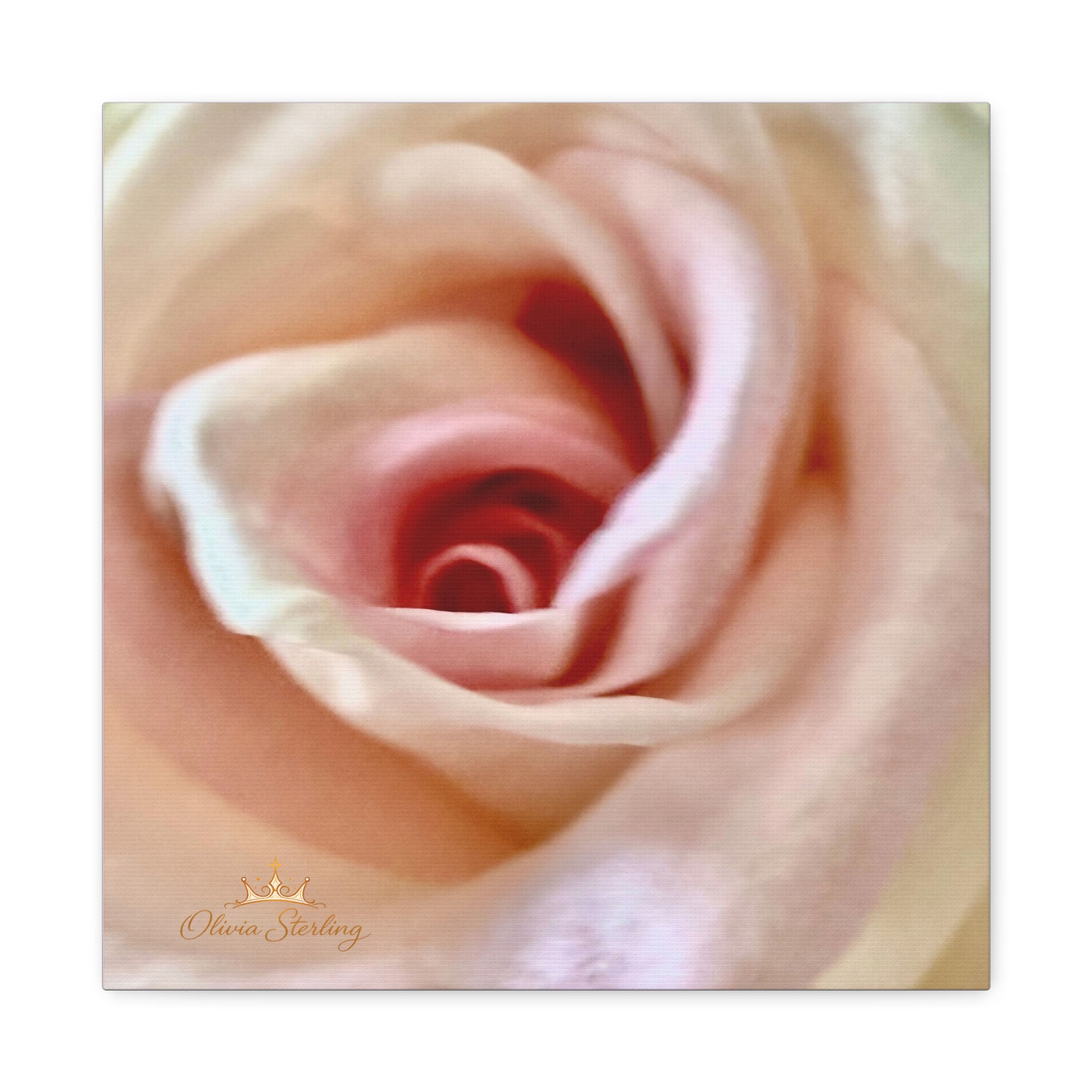  Canvas Print - 1.25" - White Peonie 2 - Photography by Olivia Sterling