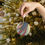 Thumbnail: Ornament - Feline Spirit of Patriotism Glass Ornament