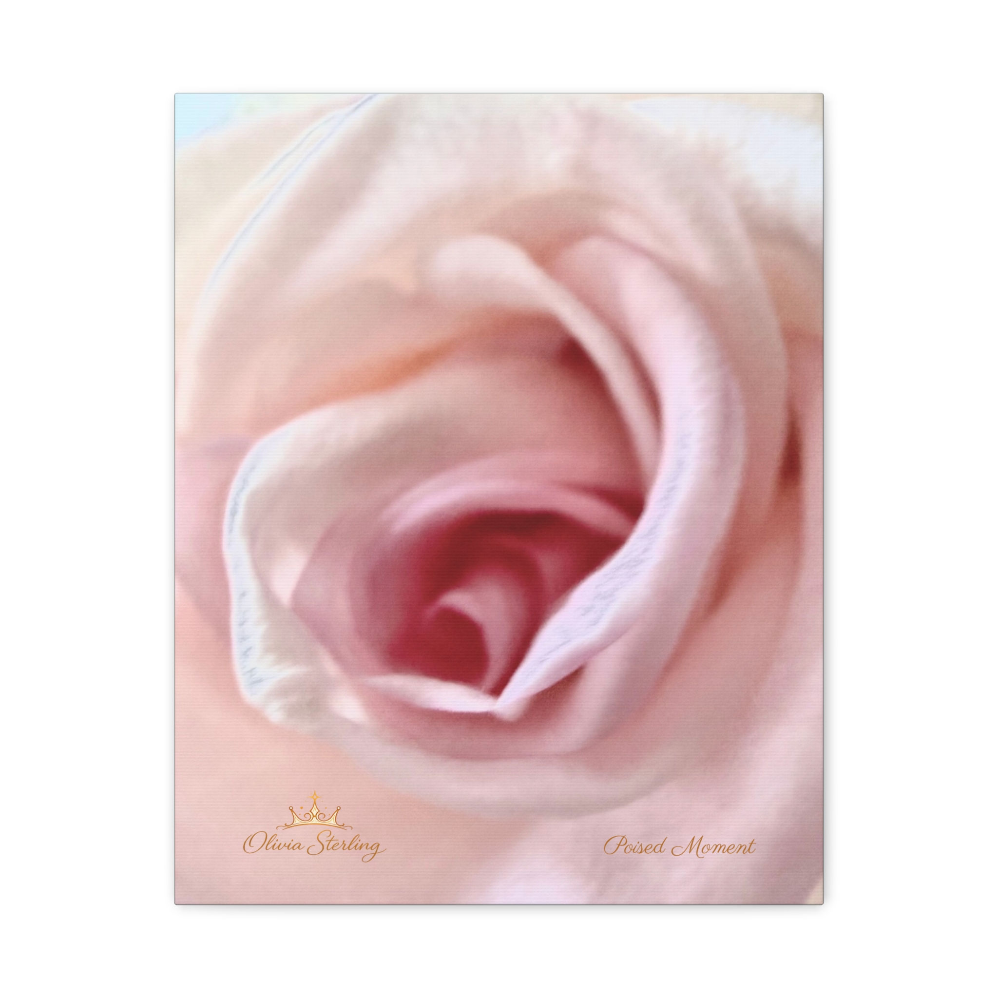'Poised Moment' Canvas - Savy Bohemian